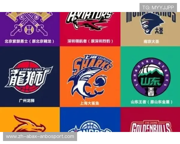 近年来CBA新增球队名单与扩军历程